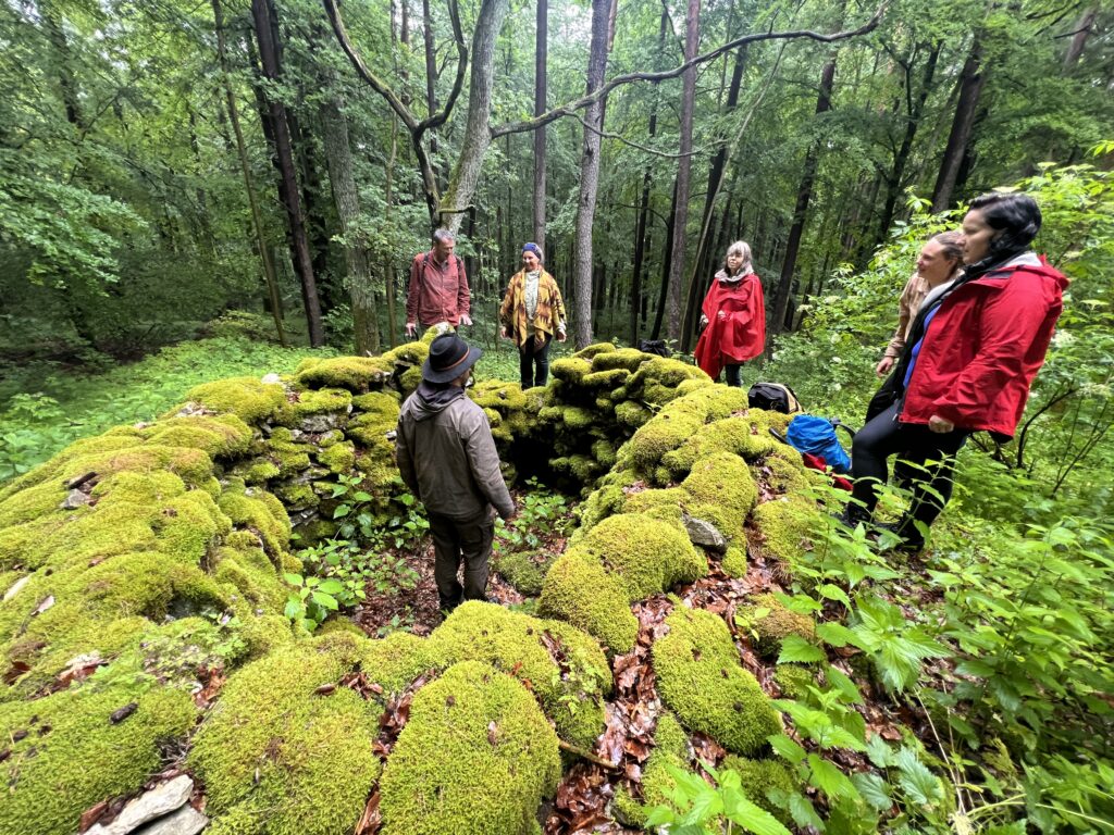 Aufstellungen in der Natur